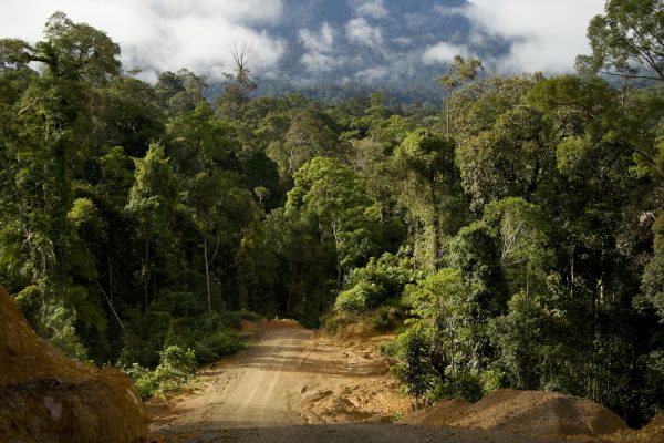 (ALL RIGHTS, ALL USES) Road from Sumalindo IV base camp to the Dayak village of Long Laai, East Kalimantan, Borneo, Indonesia. This 35-kilometer road was built by Sumalindo as part of the community management agreement between Sumalindo and five Dayak villages in the Sumalindo IV area. The Conservancy works with local conservation partners to protedt the forests and rivers of East Kalimantan. PHOTO CREDIT: ©Bob Lalasz/TNC